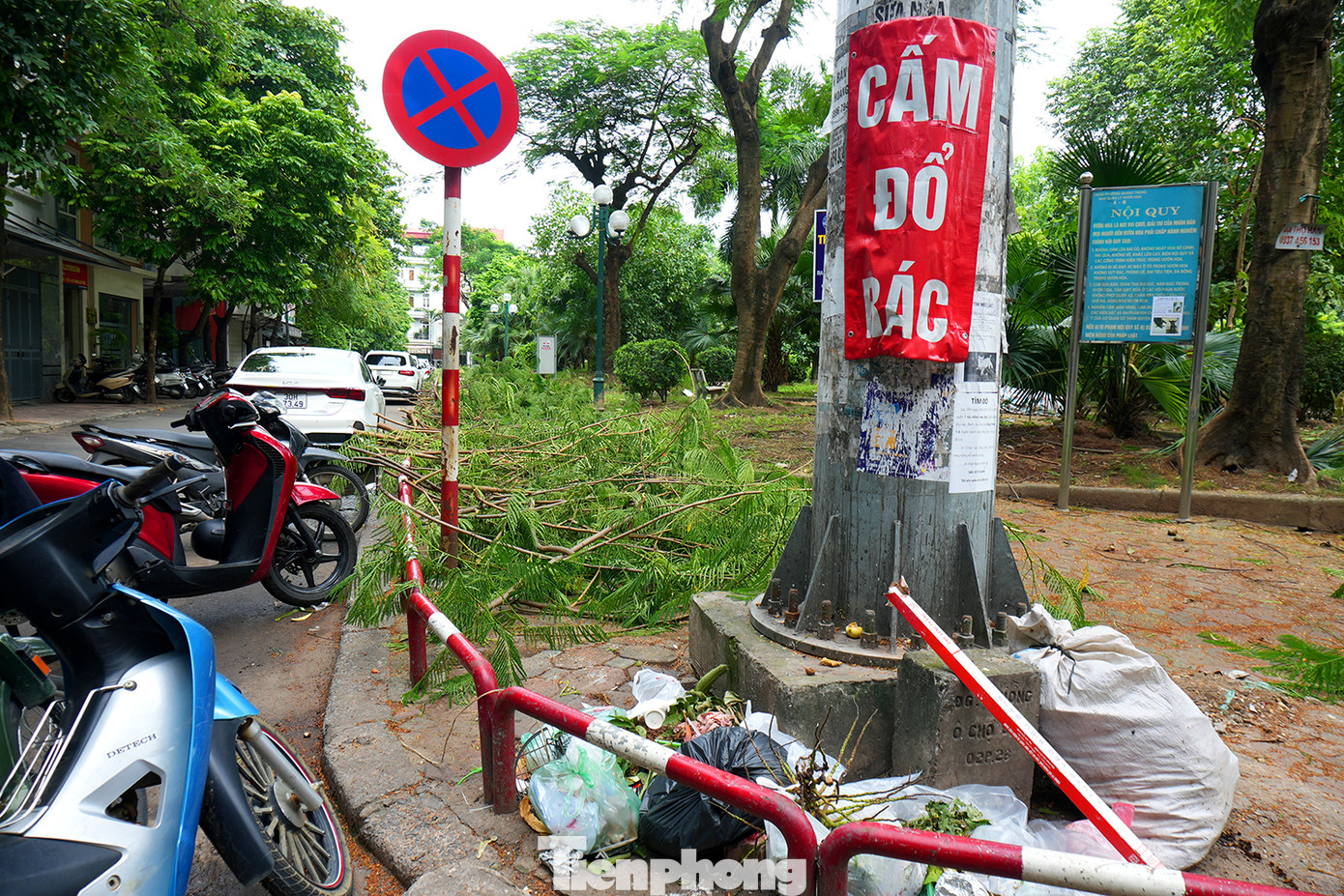 Đống rác ngay chân cột điện có dán chữ "Cấm đổ rác". Ngay phía sau là bảng nội quy của vườn hoa. Cũng theo bà T.X chia sẻ, vốn trước đây quanh vườn hoa có 4,5 điểm là chỗ tập kết rác. Giờ khắp quanh vườn hoa là cây chặt hạ thì dân cư xung quanh xả rác thêm. Đống rác ngay chân cột điện có dán chữ "Cấm đổ rác". Ngay phía sau là bảng nội quy của vườn hoa. Cũng theo bà T.X chia sẻ, vốn trước đây quanh vườn hoa có 4,5 điểm là chỗ tập kết rác. Giờ khắp quanh vườn hoa là cây chặt hạ thì dân cư xung quanh xả rác thêm.