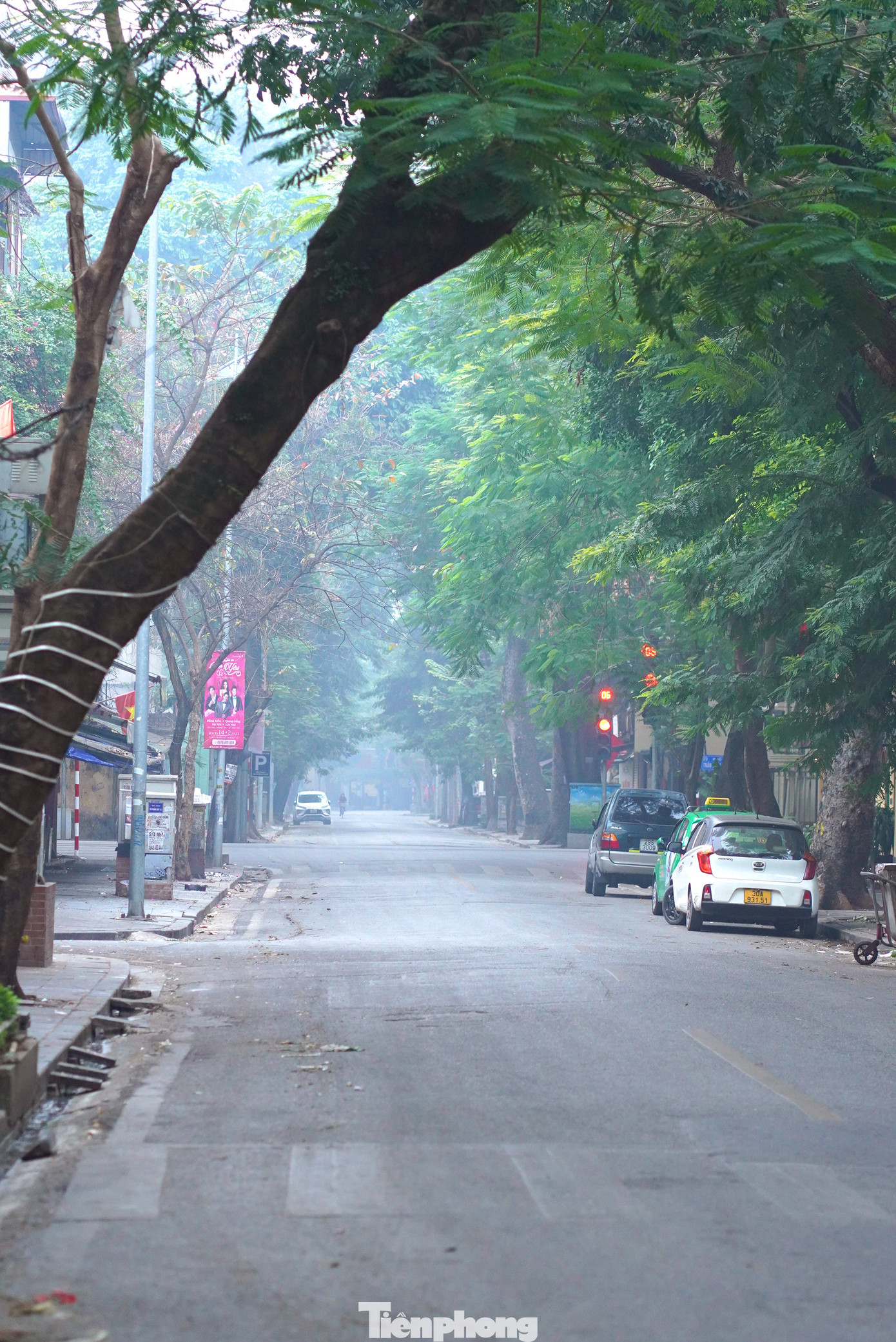 Góc đường "hút mắt" xen lẫn sương mai, nắng sớm và cây xanh.