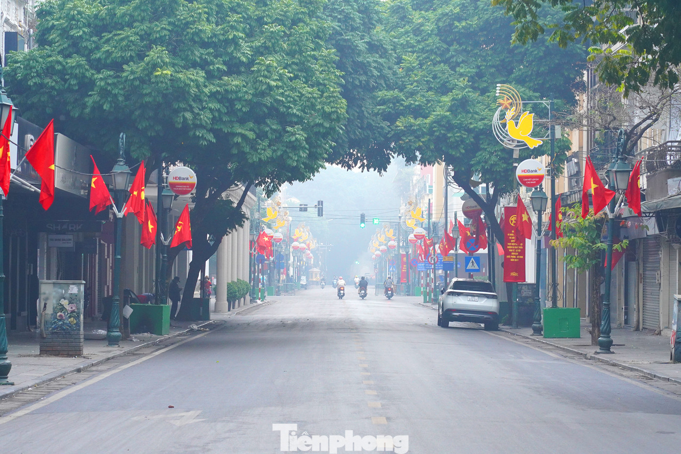 Hàng cây "chụm đầu" tĩnh lặng trên phố Tràng Tiền.