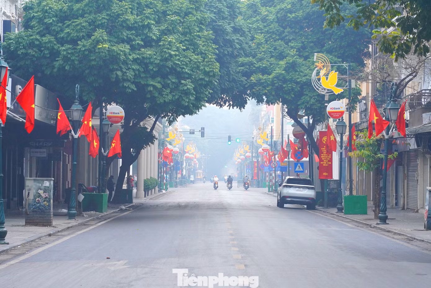 Hàng cây "chụm đầu" tĩnh lặng trên phố Tràng Tiền.