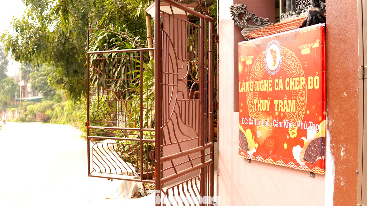 Làng cá chép đỏ Thủy Trầm (xã Tuy Lộc – huyện Cẩm Khê – tỉnh Phú Thọ) lâu nay nức tiếng gần xa với sản phẩm đặc trưng mỗi dịp cận kề ngày ông Công ông Táo. Làng cá chép đỏ Thủy Trầm (xã Tuy Lộc – huyện Cẩm Khê – tỉnh Phú Thọ) lâu nay nức tiếng gần xa với sản phẩm đặc trưng mỗi dịp cận kề ngày ông Công ông Táo.