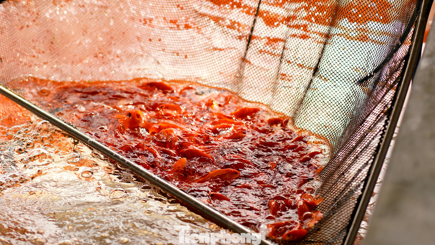 Thương phẩm cá chép đỏ Thủy Trầm là những chú cá đỏ đẹp, mắt đen và có mỡ cá. Thời gian trong năm, làng nghề Thủy Trầm nuôi, và cung cấp rất nhiều loại cá giống đi khắp cả nước. Đặc biệt, được mệnh danh là Làng cá chép đỏ, thương phẩm cá chép đỏ nơi đây cung cấp khắp nơi mỗi dịp cuối năm cận kề ngày ông Công ông Táo 23 tháng chạp. Từ khoảng tháng 6, tháng 7 dương lịch, cá chép đỏ Thủy Trầm được người dân lấy giống, nuôi từ con hương… Thương phẩm cá chép đỏ Thủy Trầm là những chú cá đỏ đẹp, mắt đen và có mỡ cá. Thời gian trong năm, làng nghề Thủy Trầm nuôi, và cung cấp rất nhiều loại cá giống đi khắp cả nước. Đặc biệt, được mệnh danh là Làng cá chép đỏ, thương phẩm cá chép đỏ nơi đây cung cấp khắp nơi mỗi dịp cuối năm cận kề ngày ông Công ông Táo 23 tháng chạp. Từ khoảng tháng 6, tháng 7 dương lịch, cá chép đỏ Thủy Trầm được người dân lấy giống, nuôi từ con hương…