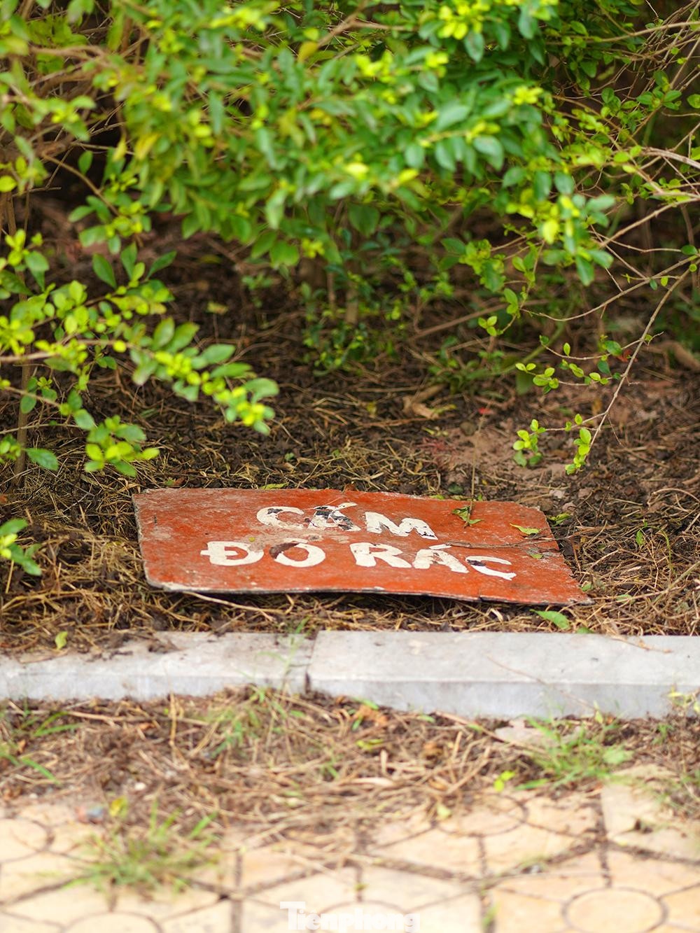 Biển "Cấm đổ rác" đã gãy thanh chống, nằm khuất nẻo dưới lùm cây.