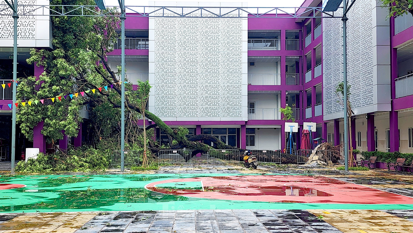 Tại trường THCS Nguyễn Trãi (Ba Đình) một cây lớn đổ vắt ngang trong sân trường. Hiện nhà trường đang đợi lực lượng tới hỗ trợ di dời, bên cạnh đó nhà trường chủ động triển khai công tác dọn dẹp cơ bản các cành vụn, cây nhỏ trong khuôn viên nhà trường.