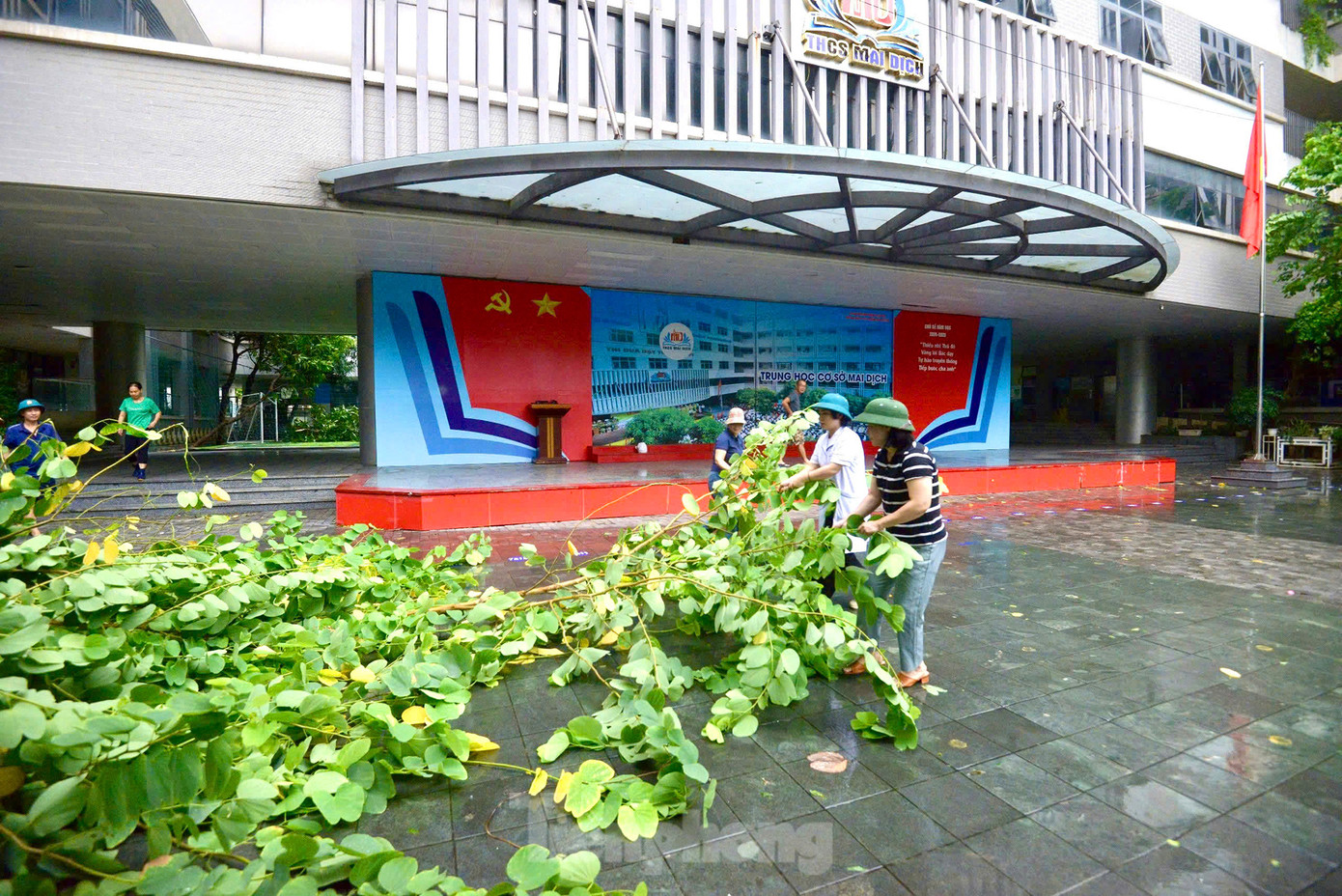 Tại trường THCS Mai Dịch (Cầu Giấy) may mắn không có cây lớn đổ ngã, nhưng cành vụn nhiều khúc thân cây gãy khá nhiều. Giáo viên đã đến trường để cùng các lực lượng chức năng tham gia thu dọn, tổng vệ sinh trường, lớp, khắc phục hậu quả của bão. Ảnh: Trọng Tài