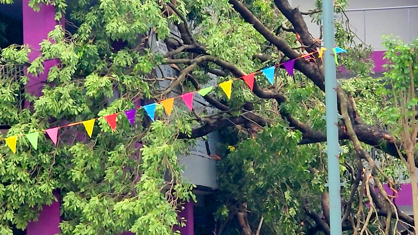 Tại trường THCS Nguyễn Trãi (Ba Đình) một cây lớn đổ vắt ngang trong sân trường. Hiện nhà trường đang đợi lực lượng tới hỗ trợ di dời, bên cạnh đó nhà trường chủ động triển khai công tác dọn dẹp cơ bản các cành vụn, cây nhỏ trong khuôn viên nhà trường.