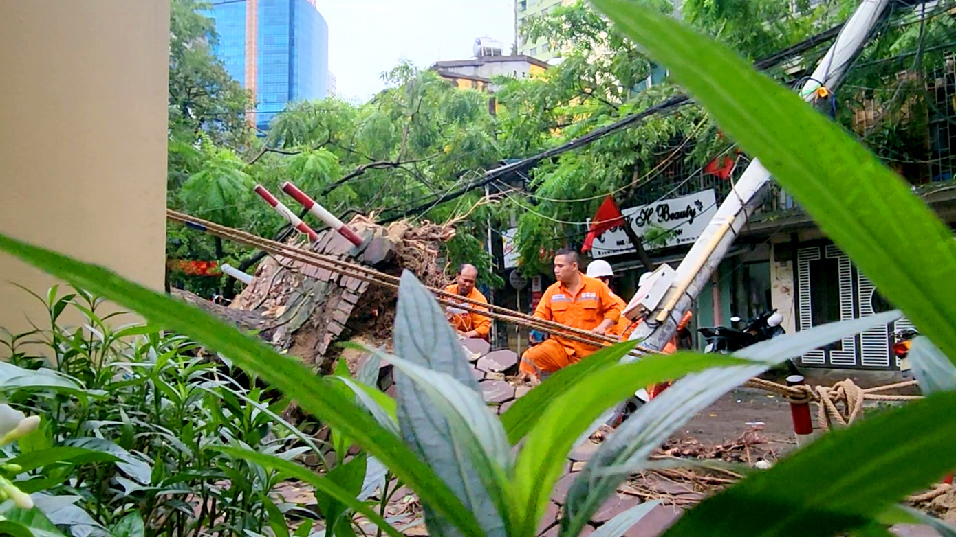 Tại trường THCS Nguyễn Trãi (Ba Đình) một cây lớn đổ vắt ngang trong sân trường. Hiện nhà trường đang đợi lực lượng tới hỗ trợ di dời, bên cạnh đó nhà trường chủ động triển khai công tác dọn dẹp cơ bản các cành vụn, cây nhỏ trong khuôn viên nhà trường.