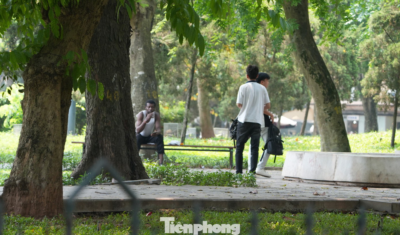 Các vườn hoa, khu cây xanh bóng mát vẫn là điểm nghỉ chân thích hợp cho người dân và du khách trước khi tiếp tục di chuyển tham quan thành phố.