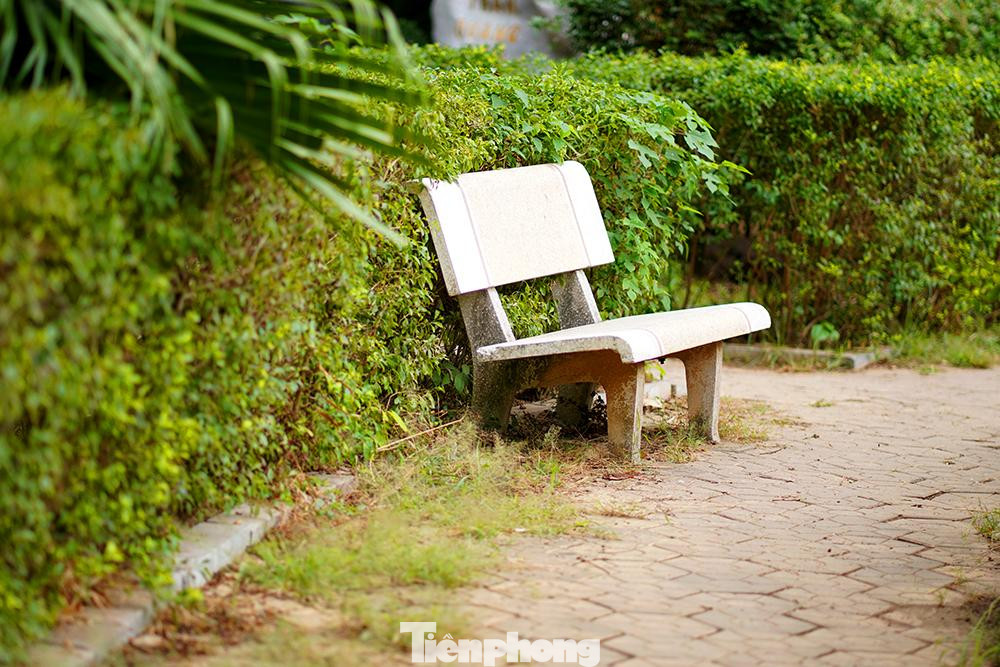 Dấu vết 'hoang hóa' do lâu ngày không có người chăm sóc: cỏ dại mọc lan, bụi cây xơ xác không được cắt tỉa.