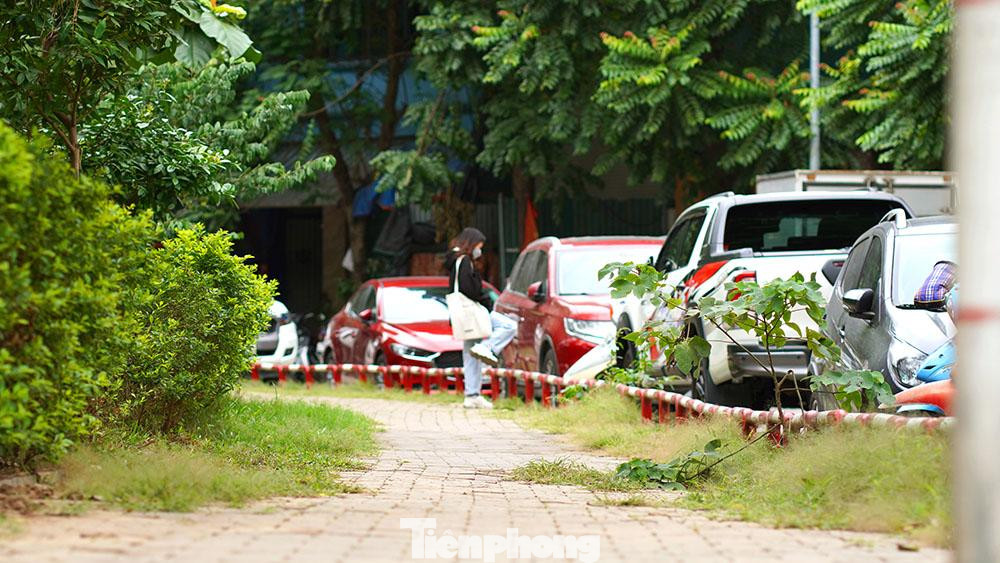 Vườn hoa Trần Quang Diệu (Đống Đa – Hà Nội) khánh thành từ năm 2014 với mức đầu tư khoảng 52 tỷ đồng. Với diện tích 12.953 m2, nơi đây trở thành địa điểm tập thể dục, đi dạo, vui chơi của người dân 2 phường Quang Trung và Ô Chợ Dừa trong suốt 8 năm qua. Trong ảnh: Từ bên ngoài, khuôn viên vỉa hè bao quanh vườn hoa bị cỏ dại xâm lấn, cây dại mọc um tùm khắp lối đi.