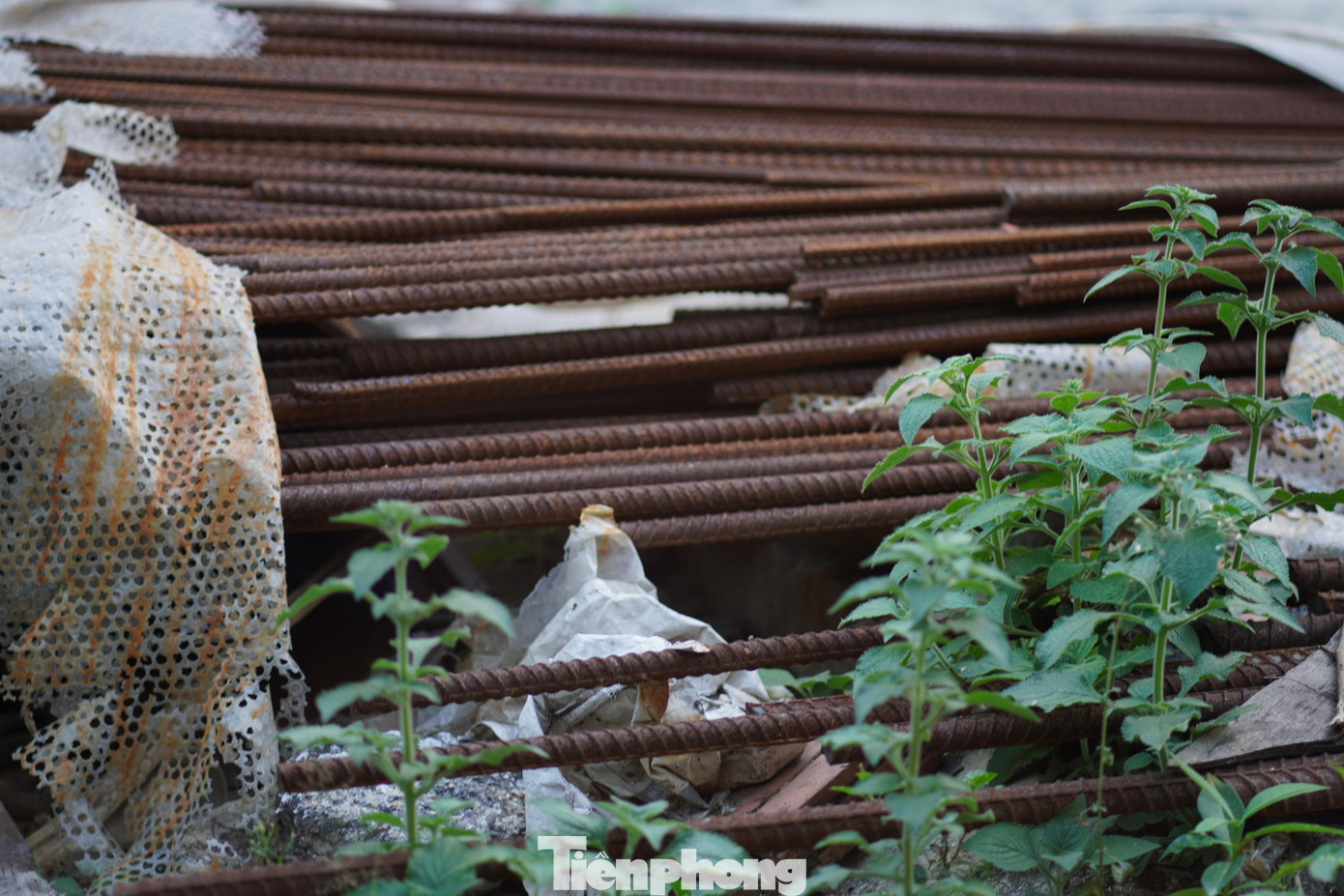 Những thanh sắt hoen rỉ này, khi được sử dụng liệu có ảnh hưởng tới chất lượng của công trình hay không?