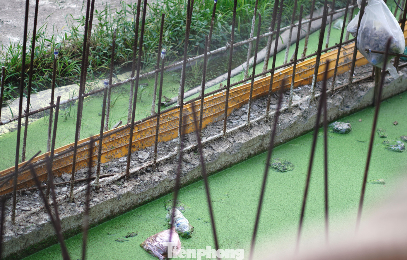 Bèo phủ xanh hố nước do mưa tích tụ không được dọn dẹp, kèm theo những túi rác thải sinh hoạt vứt bừa bãi, nguy cơ trở thành nơi phát triển của bọ gậy, muỗi trong mùa dịch sốt xuất huyết hiện nay.