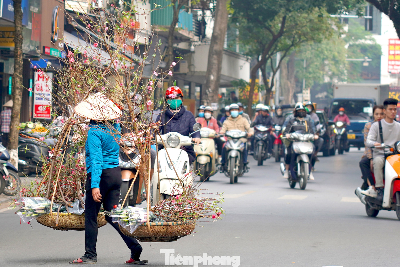 Đối với người dân Hà Nội, ngắm hoa trên phố Hàng Lược vào mỗi dịp xuân về như một thú vui tao nhã. Càng ngày, những thứ xưa cũ càng mai một nhưng chợ hoa Hàng Lược vẫn có sức sống bền bỉ, xen lẫn hiện đại và nét hoài cổ hiếm nơi nào có được.