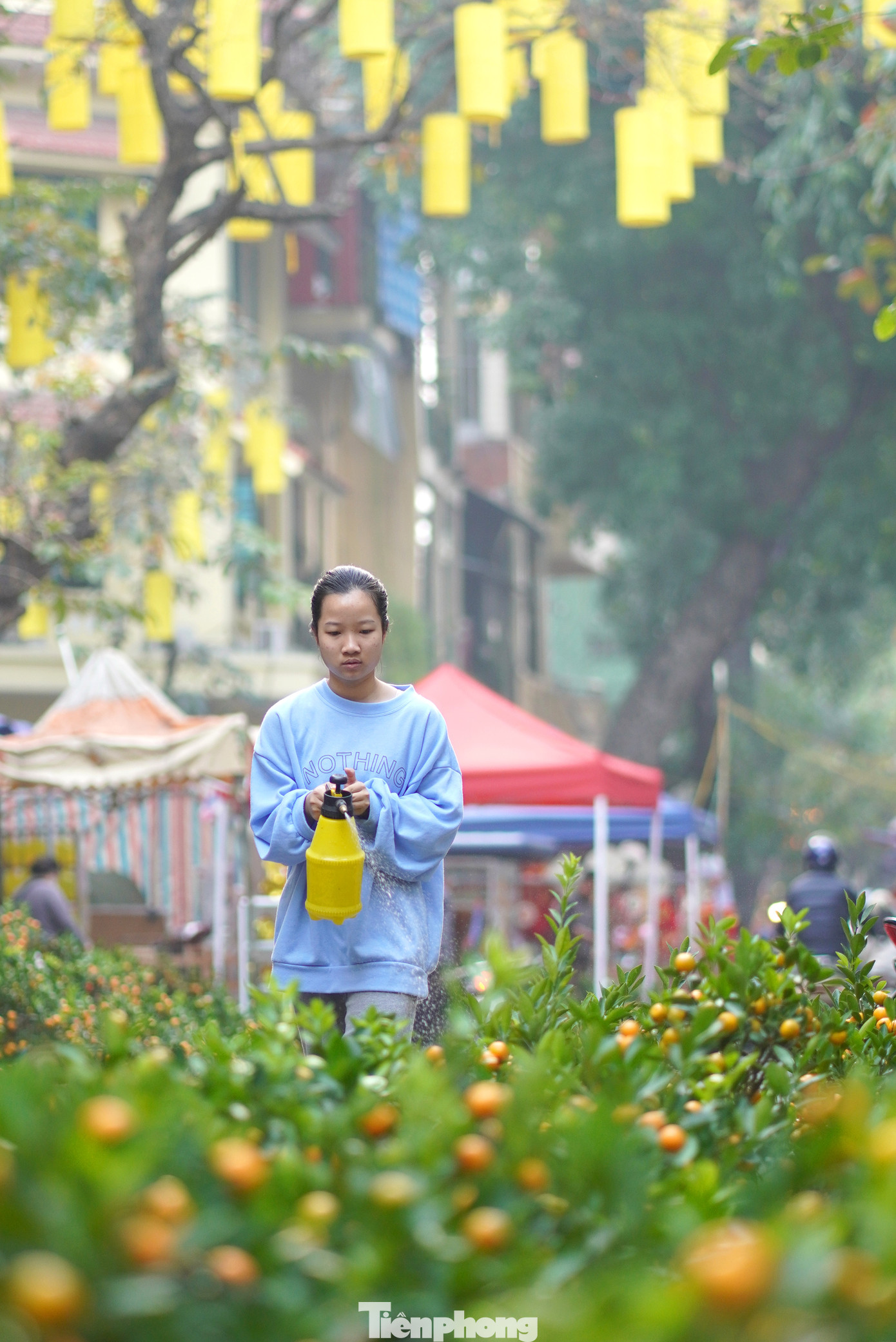 Người bán quất cảnh tranh thủ tưới nước chăm chút cho các chậu cây, đảm bảo điều kiện tốt nhất trước cho khách hàng lựa chọn,