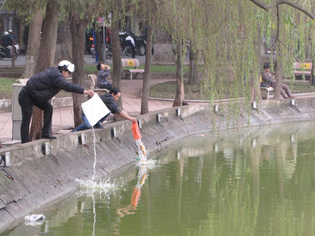 Trong đó có Hồ Gươm 