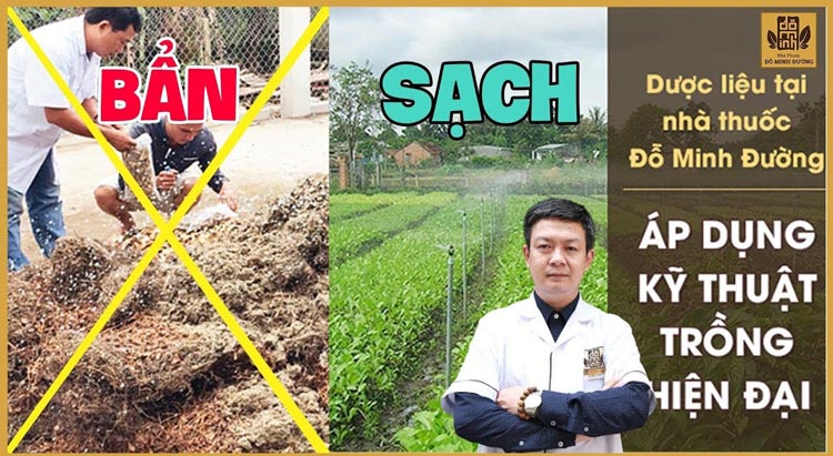 Bài thuốc chữa xuất tinh sớm Đỗ Minh Đường giúp nam giới lấy lại bản lĩnh ảnh 3