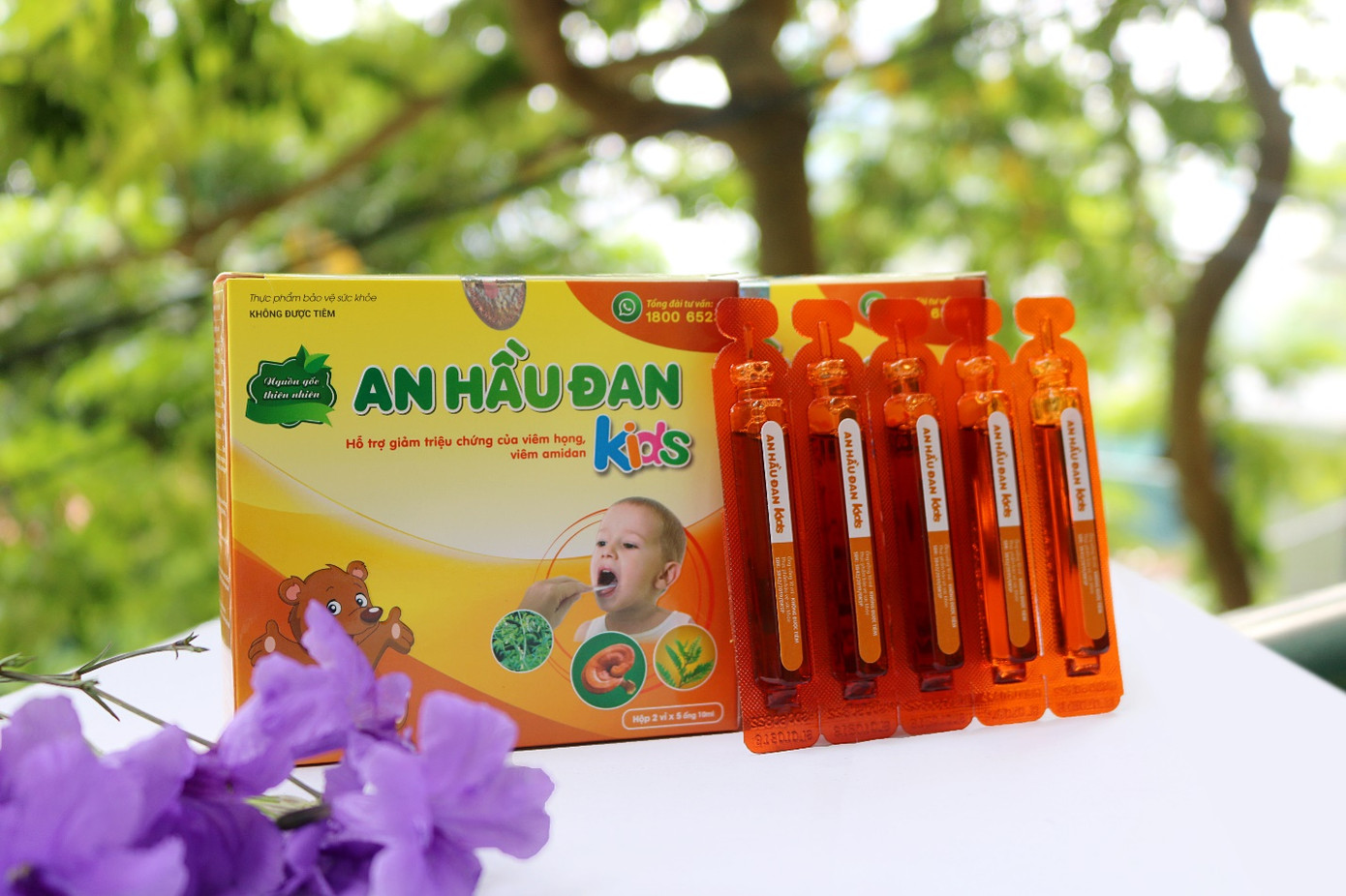 Khả năng kháng viêm trong điều trị amidan của cúc lục lăng ảnh 3