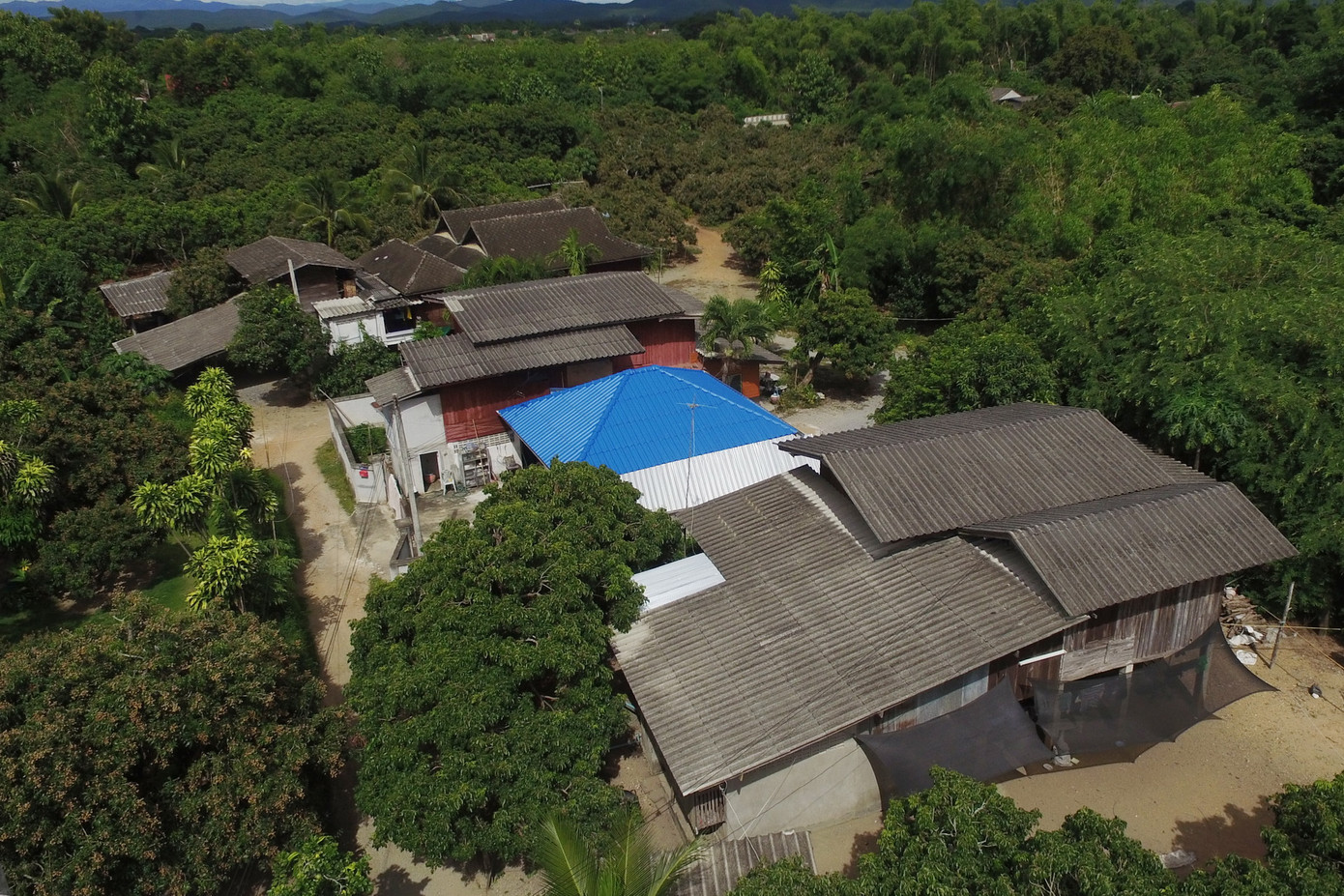 Vì sao sợi amiang trắng vẫn được sử dụng ở nhiều quốc gia trên thế giới? ảnh 1