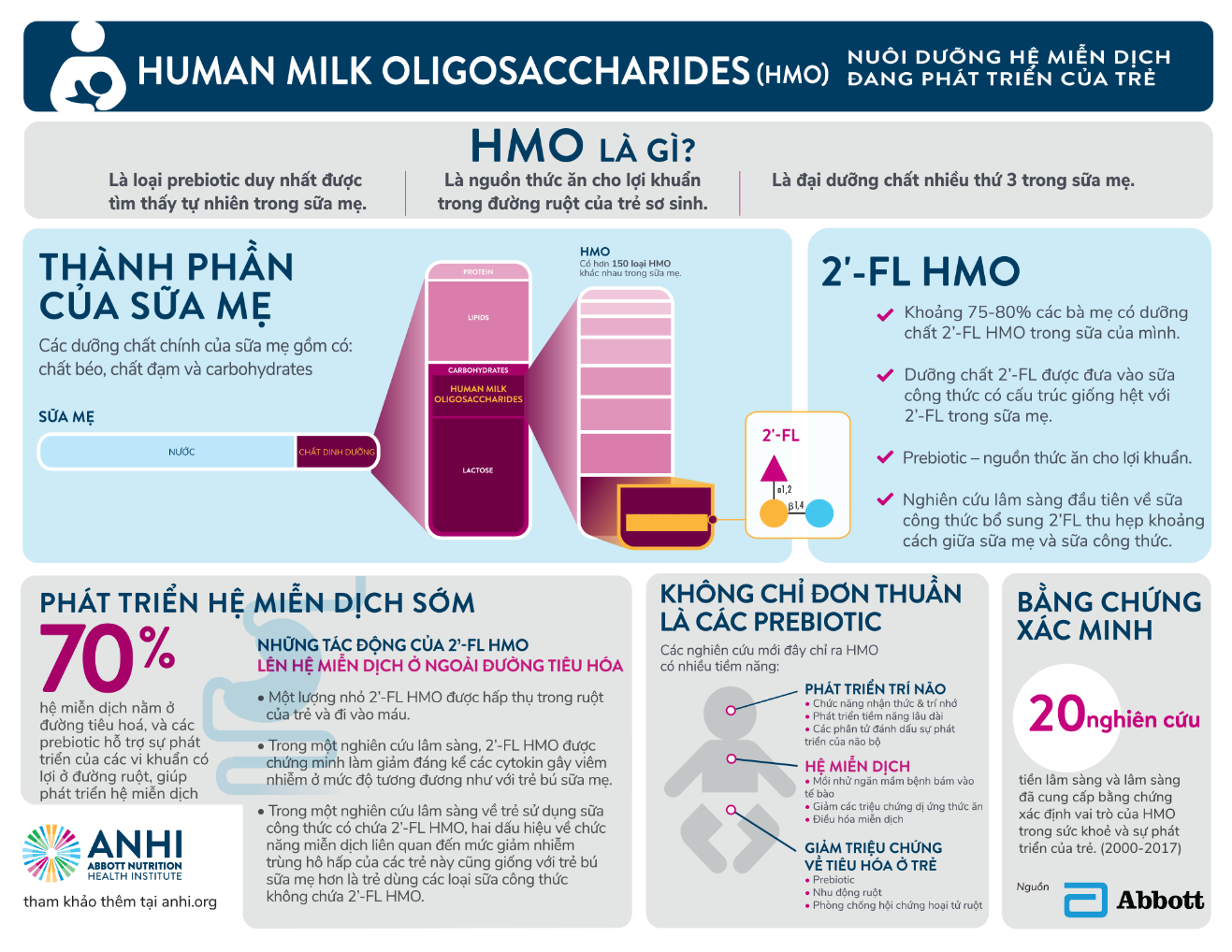 HMO giúp nuôi dưỡng hệ đường ruột và sức đề kháng của bé như thế nào? ảnh 1