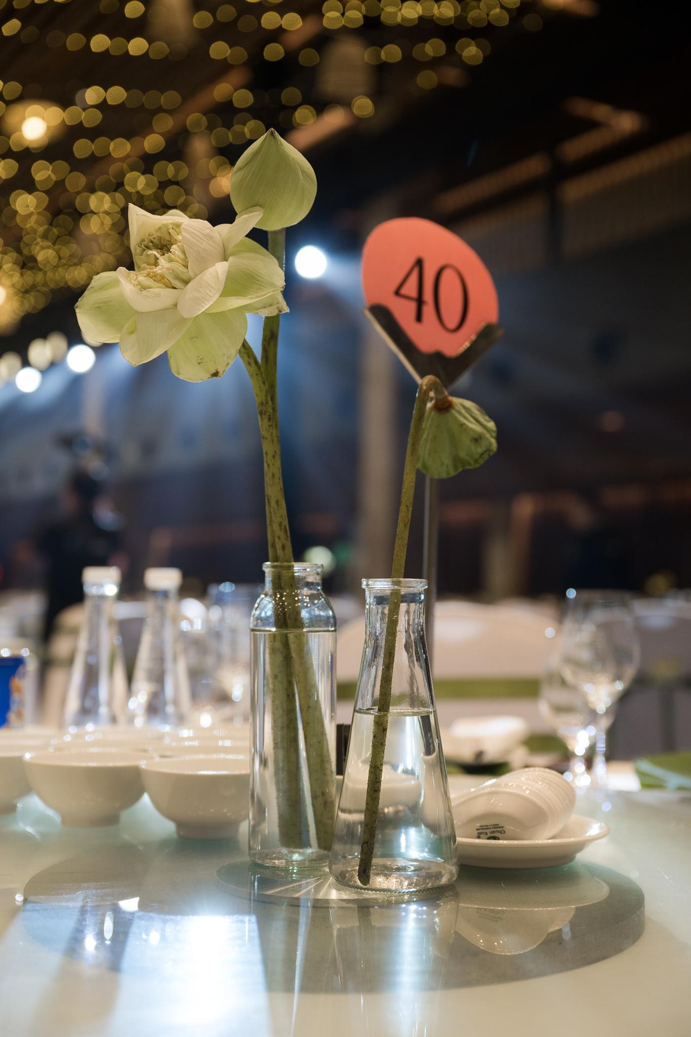 Cả không gian được phủ một màu trắng của hoa sen, xanh của lá sen và màu vàng óng của những bông lúa chín.