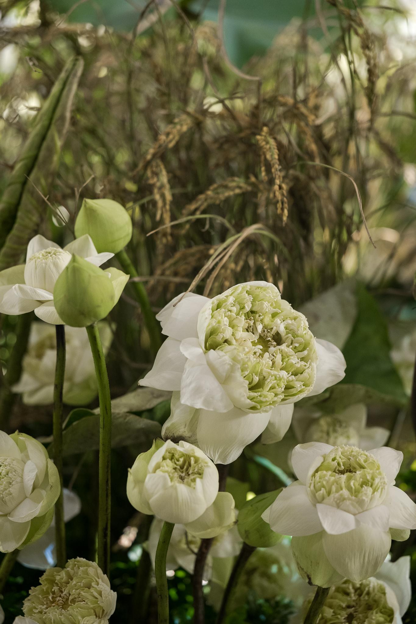 Những bông hoa sen, lúa nước được sắp xếp khéo léo, tự nhiên như một bức tranh làng quê sinh động.