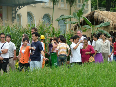 Xuân đồng bằng tiếp tục được thể hiện trong Đường hoa Nguyễn Huệ Tết Quý Tỵ. Xuân đồng bằng tiếp tục được thể hiện trong Đường hoa Nguyễn Huệ Tết Quý Tỵ