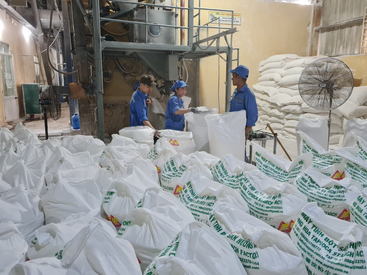 Công nhân Nhà máy tinh bột sắn Hướng Hóa làm việc xuyên Tết Công nhân Nhà máy tinh bột sắn Hướng Hóa làm việc xuyên Tết