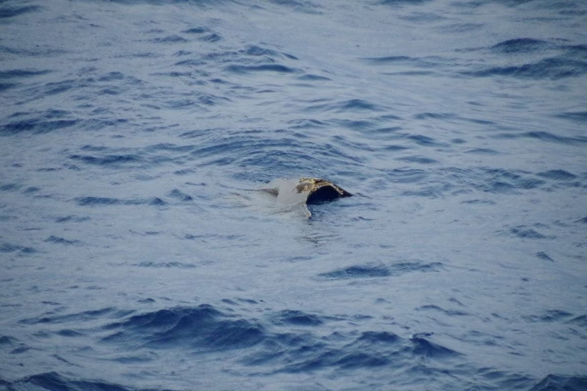 Ảnh: Reuters Ảnh: Reuters