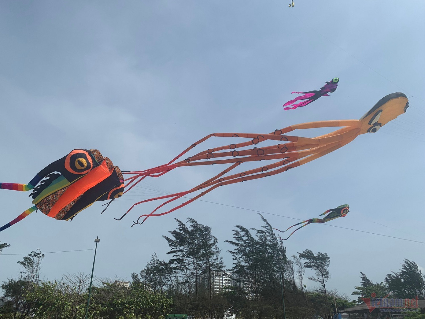 Các cánh diều với nhiều hình dáng tung bay trên bầu trời - Ảnh: Quang Hưng