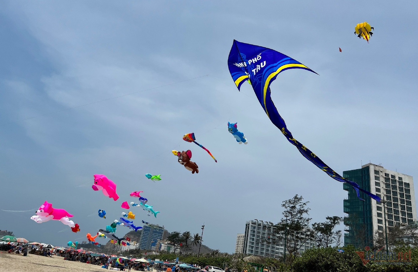 Các cánh diều được neo chân ngay bờ biển thuận lợi cho du khách check-in