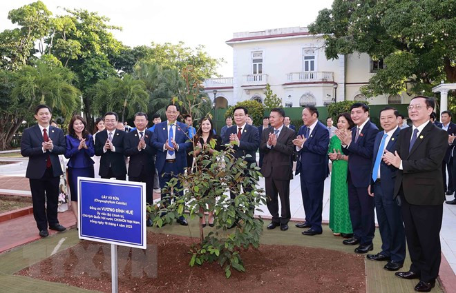 Chủ tịch Quốc hội Vương Đình Huệ trồng cây lưu niệm tại Đại sứ quán Việt Nam tại Cuba. (Ảnh: Doãn Tấn/TTXVN)