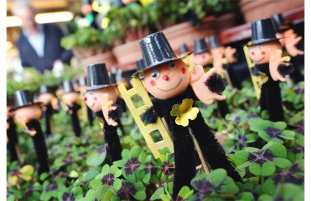 Đây là những hình nộm và những khóm cây cỏ bốn lá (biểu tượng cho sự may mắn) đang được bày bán tại Duesseldorf, Đức trong dịp cuối năm