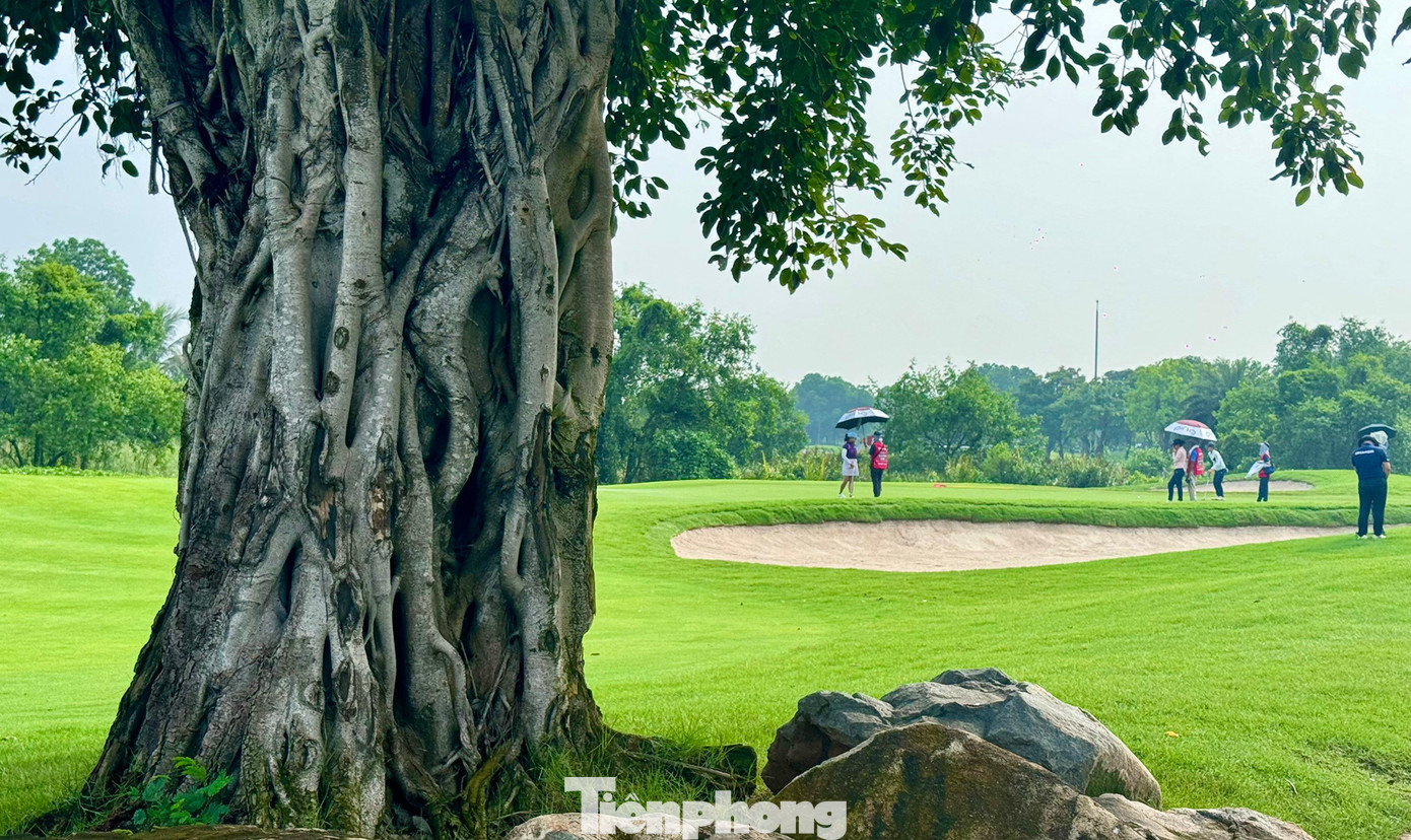 Ngày 16/8, 62 golfer vượt qua cắt loại bước vào ngày thi đấu thứ ba Giải Vô địch Golf Quốc gia 2024, Cúp VinFast – Hải Phòng trên sân Vinpearl Golf Hải Phòng. Bảng nam có 50 golfer, bảng nữ ghi tên 12 golfer.