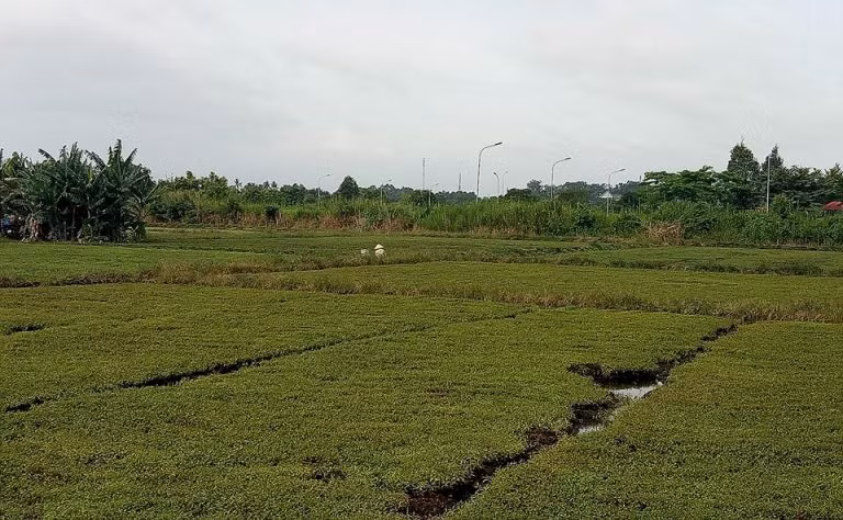 Chủ đầu tư 'siêu dự án' hết xin, lại hứa, rồi bỏ hoang ảnh 7