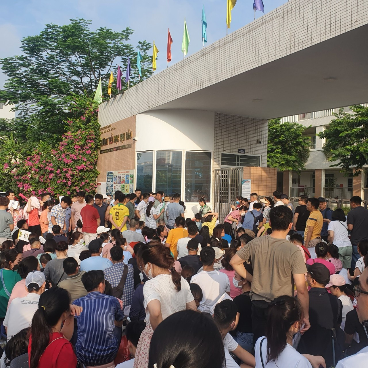 8h ngày 13/6, trường Tiểu học Vạn Bảo mới phát hành đơn và đăng ký dự tuyển. Ảnh: P.T. 8h ngày 13/6, trường Tiểu học Vạn Bảo mới phát hành đơn và đăng ký dự tuyển. Ảnh: P.T.