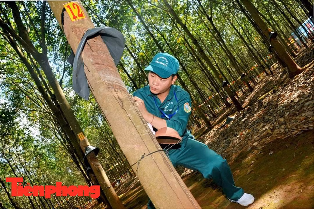 Anh Đoàn Văn Giáp Anh Đoàn Văn Giáp