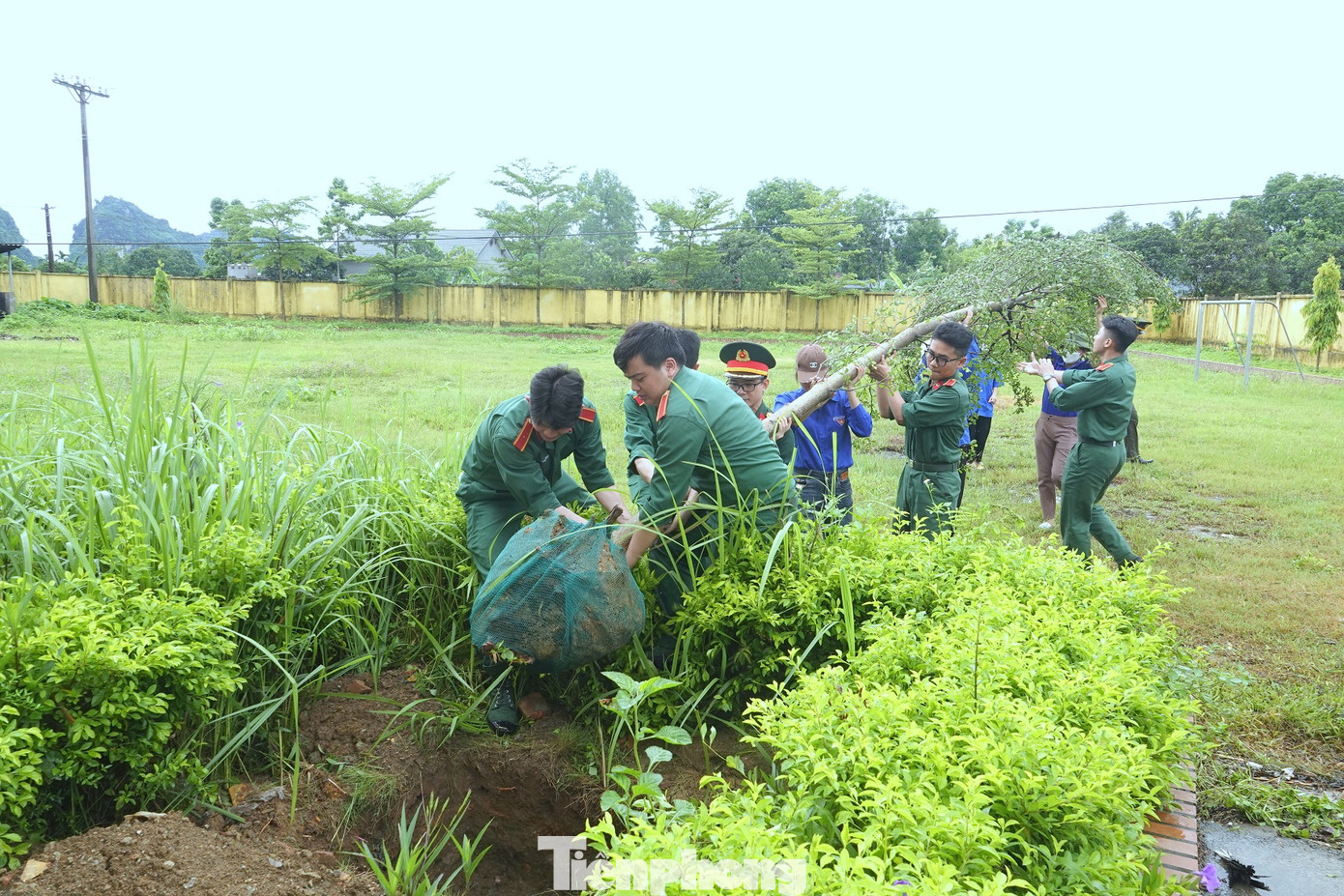 Đoàn viên thanh niên Học viện Quân y và xã Cao Dương trồng cây bàng Đài Loan trong khuôn viên trường cấp 1. Đoàn viên thanh niên Học viện Quân y và xã Cao Dương trồng cây bàng Đài Loan trong khuôn viên trường cấp 1.