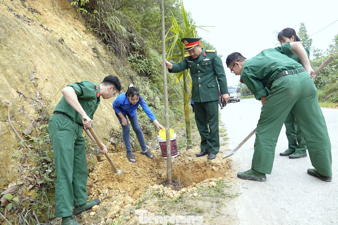 Cán bộ, đoàn viên thanh niên Học viện Quân y và xã Vô Tranh trồng cây bàng lá nhỏ trên Tuyến đường Thanh niên ở xã Vô Tranh, sáng 4/3. Ảnh: Nguyễn Minh