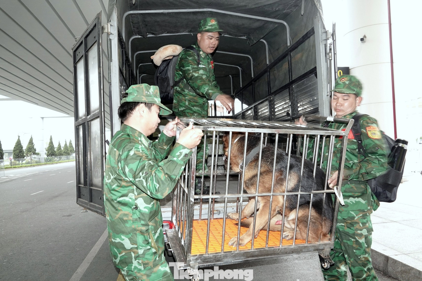 Ảnh: Nguyễn Minh