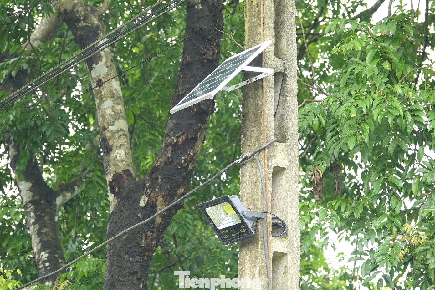 Công trình thanh niên “Thắp sáng đường quê” gồm 25 hệ thống bóng đèn cao áp sử dụng năng lượng mặt trời. Công trình thanh niên “Thắp sáng đường quê” gồm 25 hệ thống bóng đèn cao áp sử dụng năng lượng mặt trời.