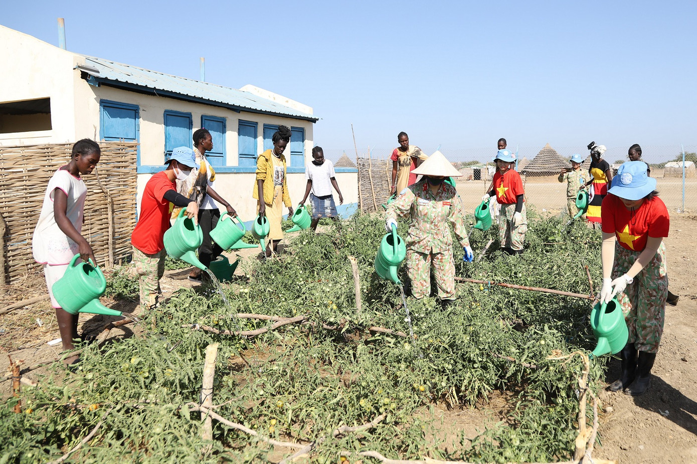 Nữ quân nhân Việt Nam và người dân địa phương chăm sóc rau xanh tại trường cấp 3 Abyei