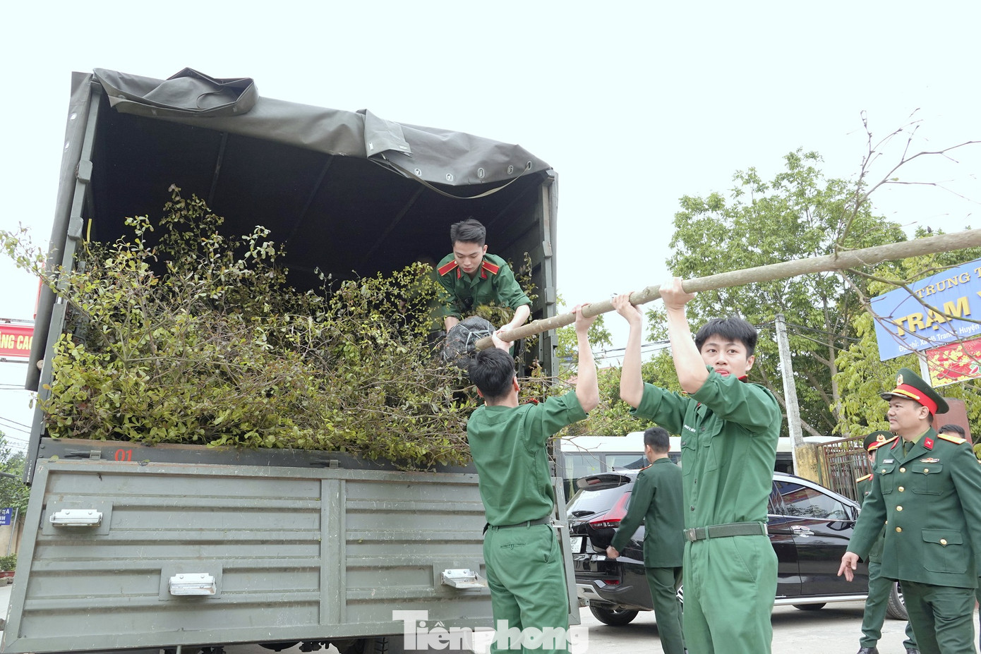 50 cây bàng lá nhỏ đã được cán bộ, đoàn viên thanh niên Học viện Quân y vận chuyển từ Hà Nội lên xã Vô Tranh trong sáng 4/3