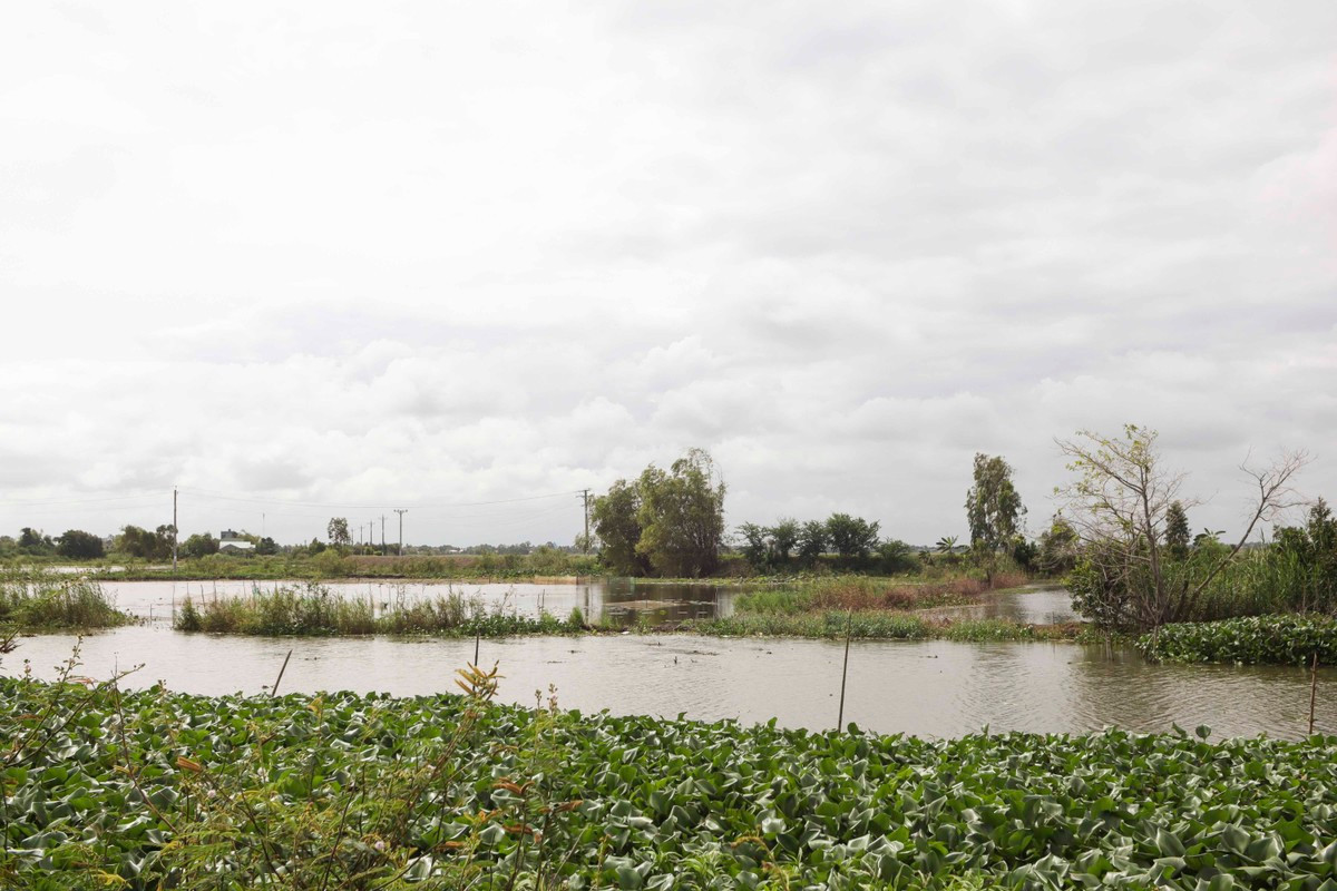 Những cánh đồng vẫn khô cạn phù sa chờ con nước lũ về. Những cánh đồng vẫn khô cạn phù sa chờ con nước lũ về.
