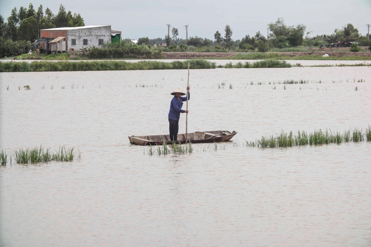 Những năm trước thời điểm này nước lũ đã tràn bờ ngập sâu. Những năm trước thời điểm này nước lũ đã tràn bờ ngập sâu.