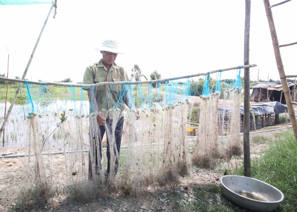 Ông Ngà sửa lại những chiếc lưới của mình nhằm kiếm được thu nhập khi lũ về. Ông Ngà sửa lại những chiếc lưới của mình nhằm kiếm được thu nhập khi lũ về.