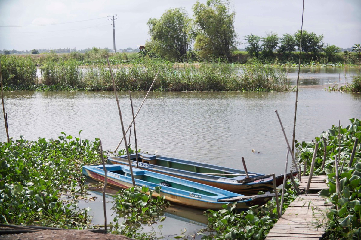 Những chiếc vỏ lãi được neo đậu không được hoạt động thường xuyên như hằng năm. Những chiếc vỏ lãi được neo đậu không được hoạt động thường xuyên như hằng năm.