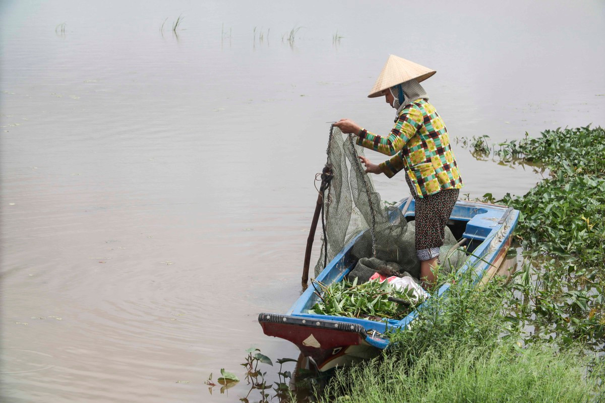 Người dân thăm lưới nhưng không kiếm được con cá nào. Người dân thăm lưới nhưng không kiếm được con cá nào.