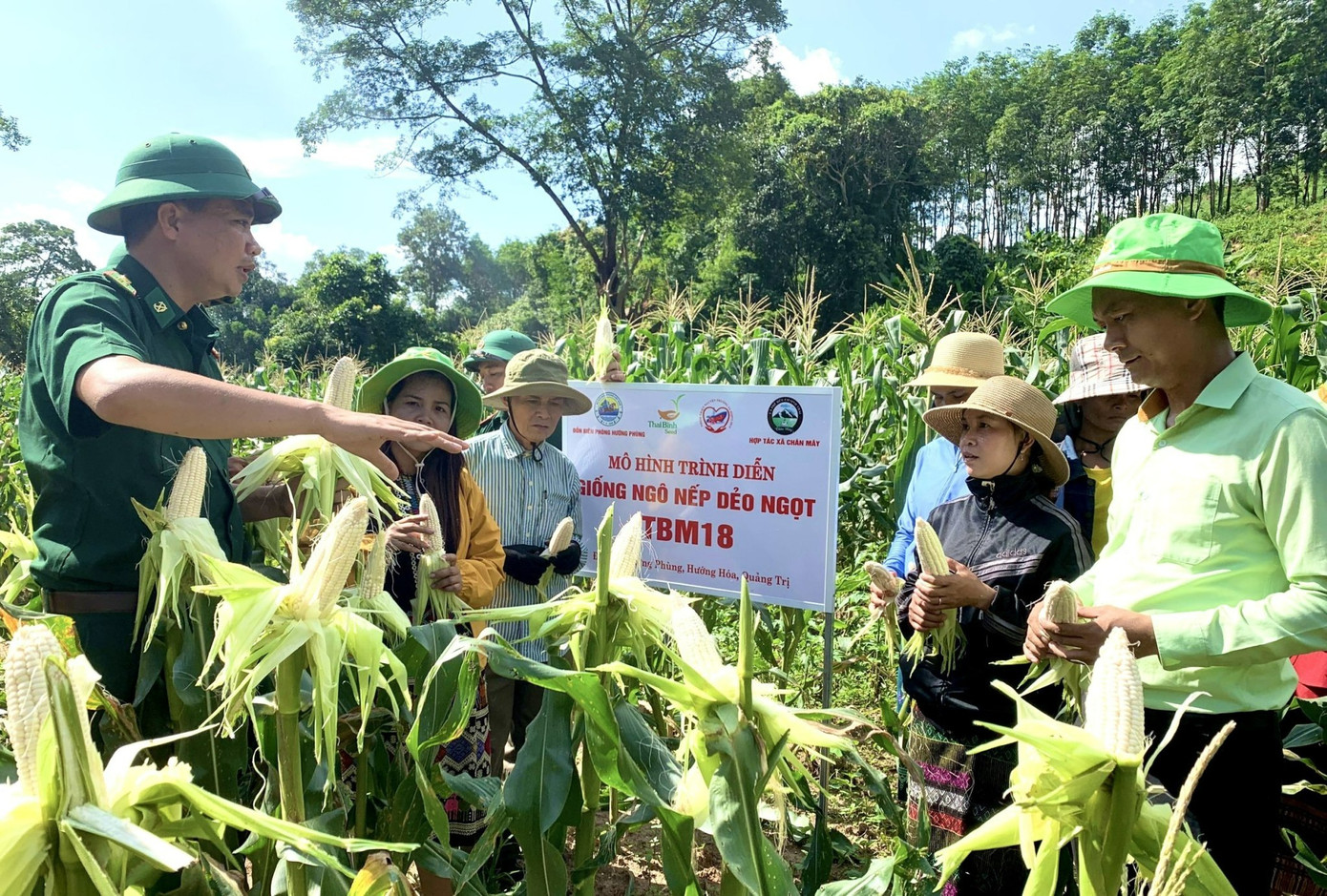 Thiếu tá Nguyễn Văn Bằng - Chính trị viên phó Đồn BP Hướng Phùng giới thiệu với bà con nông dân đến học hỏi, tham quan mô hình trồng loại ngô nếp mới. ẢNH: PV Thiếu tá Nguyễn Văn Bằng - Chính trị viên phó Đồn BP Hướng Phùng giới thiệu với bà con nông dân đến học hỏi, tham quan mô hình trồng loại ngô nếp mới. ẢNH: PV