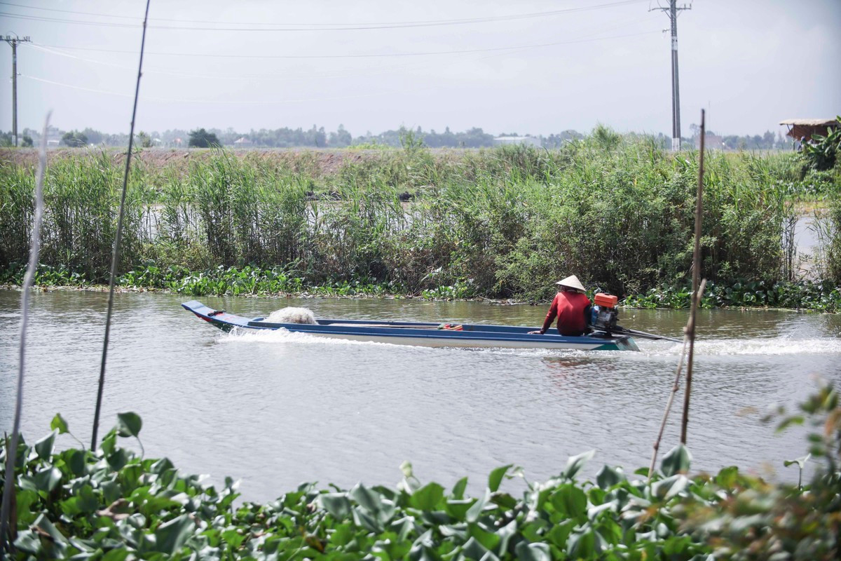 Người dân mong chờ nước lũ lớn nhưng vẫn chưa thấy về Người dân mong chờ nước lũ lớn nhưng vẫn chưa thấy về