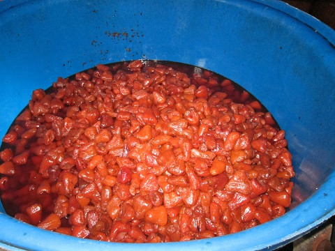 Theo tìm hiểu, hầu hết trái cây được chuyển đến các lò mứt đều chưa chín, có cả trái non. Muốn ép chín, tẩy trắng sản phẩm, các chủ lò phải dùng hóa chất. Theo tìm hiểu, hầu hết trái cây được chuyển đến các lò mứt đều chưa chín, có cả trái non. Muốn ép chín, tẩy trắng sản phẩm, các chủ lò phải dùng hóa chất.